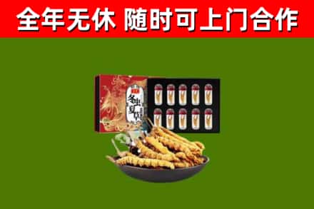 阜新县回收冬虫夏草价格