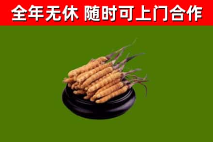 阜新县烟酒回收冬虫夏草.jpg