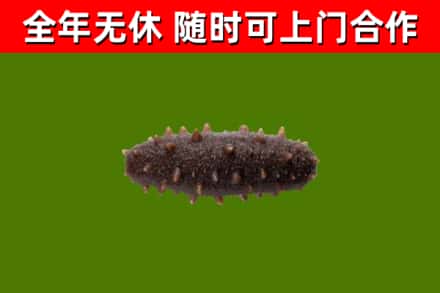阜新县烟酒回收干海参.jpg
